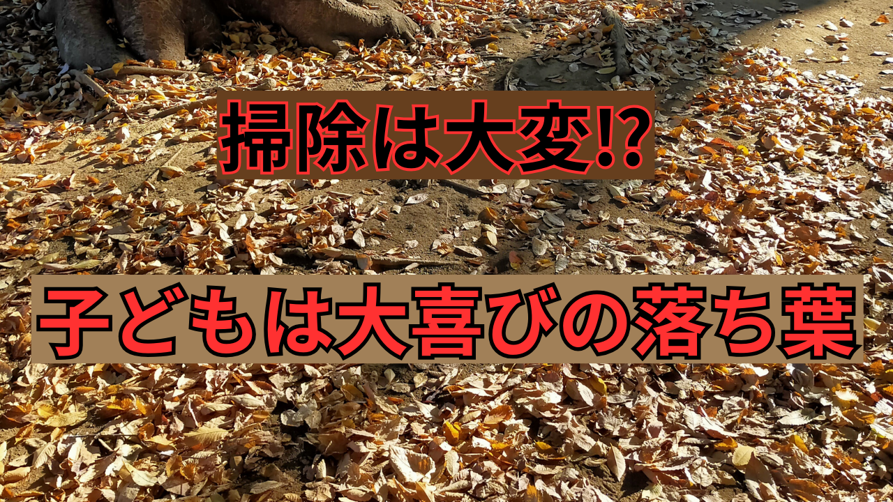 【学校あるある】掃除が大変⁉ 子どもは大喜びの落ち葉の秘密