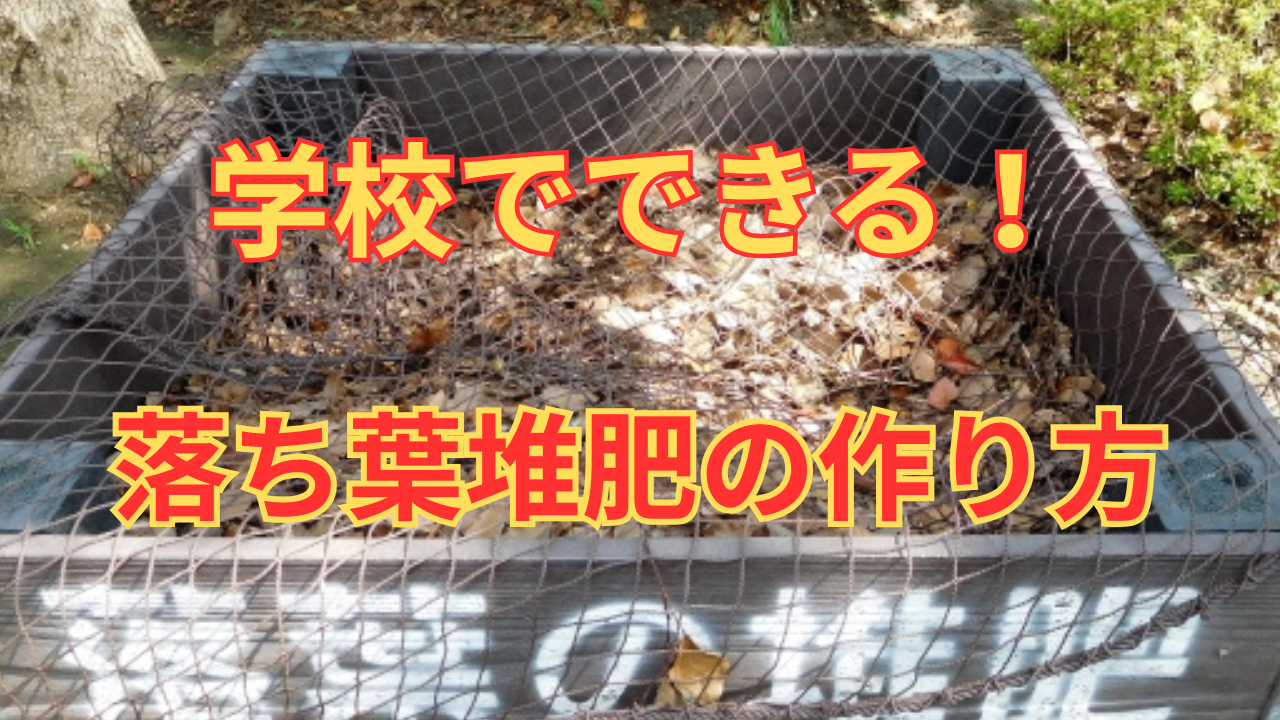 【環境教育】落ち葉から肥料へ！学校でできる循環の仕組み