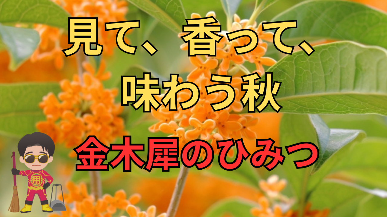 【秋の香り】金木犀のひみつ ― 花びら・香り・味わう秋の楽しみ方