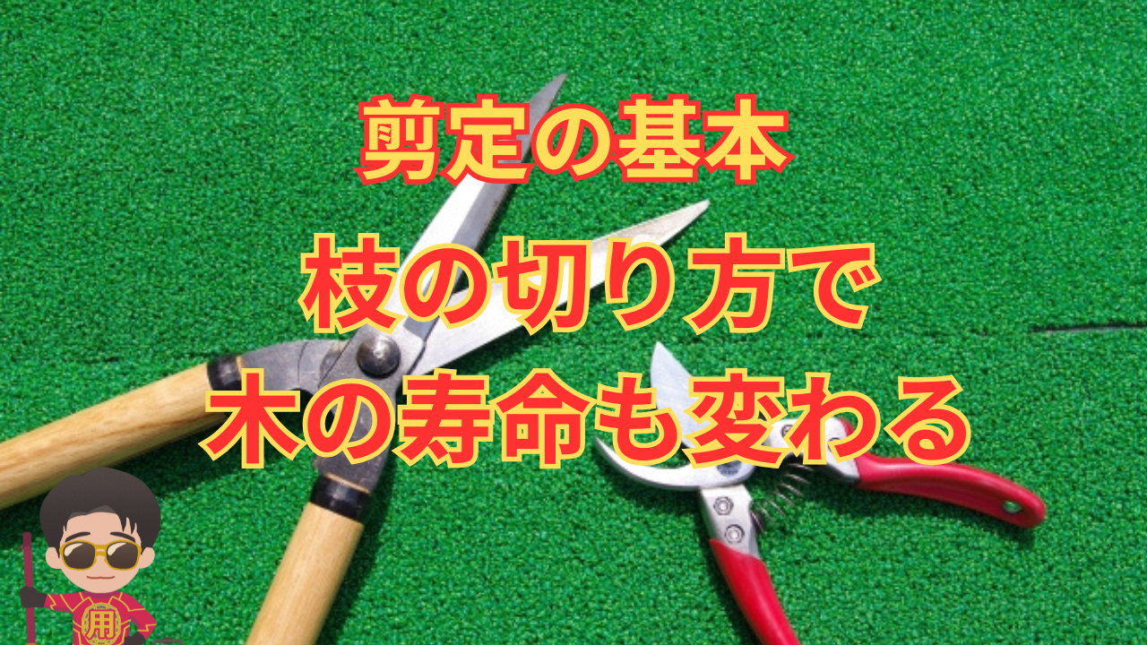 「剪定の基本 ― 枝の切り方で木の寿命も変わる」